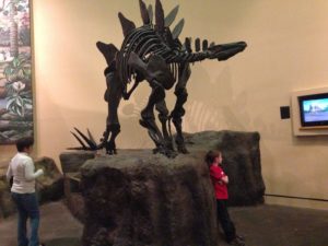 stegosaurus-770221_1920-1600x1600 (2)